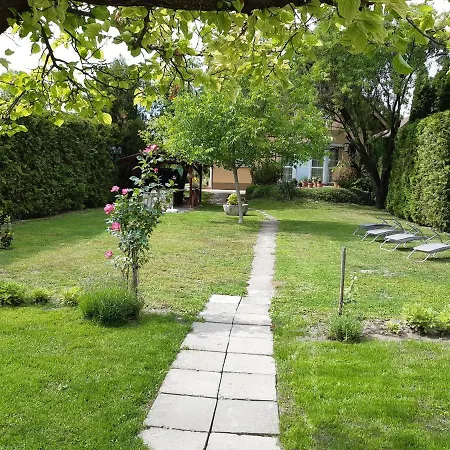 Soos -- Only For Relaxation, Not For Party! *