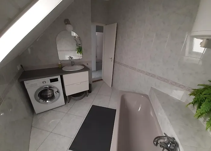 Soos -- Only For Relaxation, Not For Party!