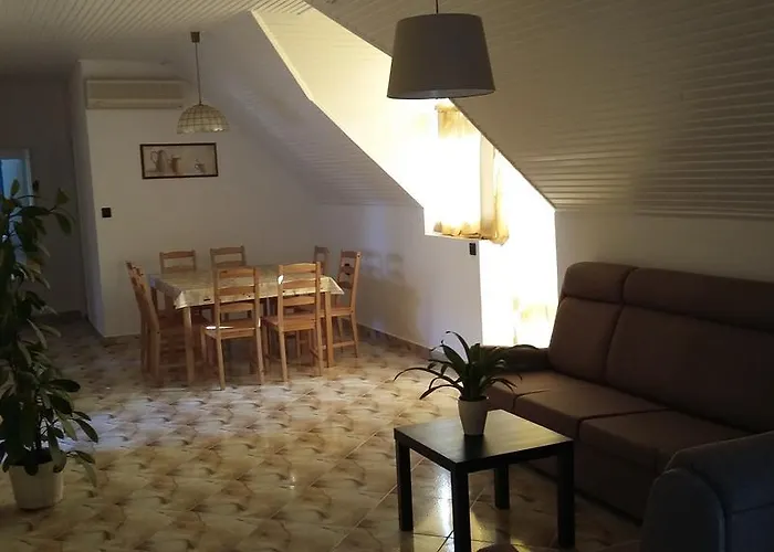 Soos -- Only For Relaxation, Not For Party! Шиофок