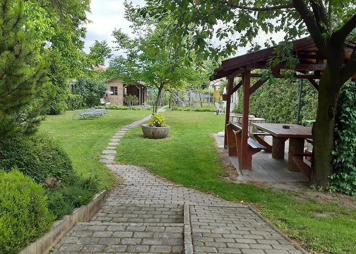Soos -- Only For Relaxation, Not For Party! * Шиофок
