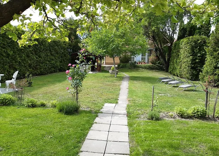 Soos -- Only For Relaxation, Not For Party! *